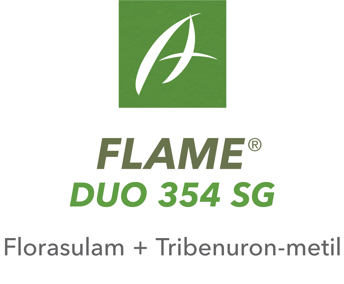 Flame Duo 354 SG 600g  – Erbicid cu Florasulam + Tribenuron pentru grâu, orz și triticale